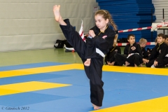 2. Europameisterschaft der Kinder und Jugendlichen 14.04.2012