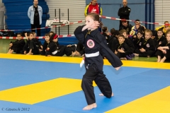 2. Europameisterschaft der Kinder und Jugendlichen 14.04.2012