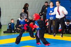 2. Europameisterschaft der Kinder und Jugendlichen 14.04.2012