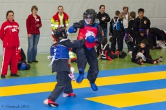2. Europameisterschaft der Kinder und Jugendlichen 14.04.2012