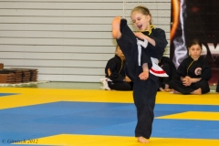 2. Europameisterschaft der Kinder und Jugendlichen 14.04.2012