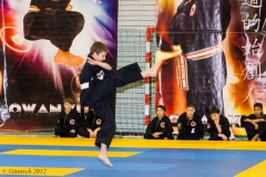 2. Europameisterschaft der Kinder und Jugendlichen 14.04.2012