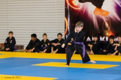2. Europameisterschaft der Kinder und Jugendlichen 14.04.2012