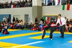 2. Europameisterschaft der Kinder und Jugendlichen 14.04.2012