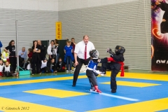 2. Europameisterschaft der Kinder und Jugendlichen 14.04.2012