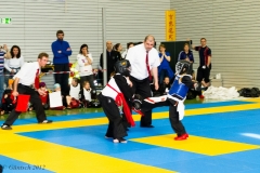 2. Europameisterschaft der Kinder und Jugendlichen 14.04.2012