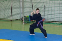 8. Landesmeisterschaft der Kinder 23.02.13