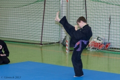 8. Landesmeisterschaft der Kinder 23.02.13