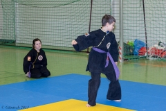 8. Landesmeisterschaft der Kinder 23.02.13