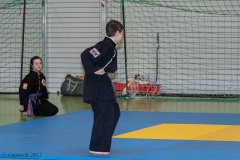 8. Landesmeisterschaft der Kinder 23.02.13