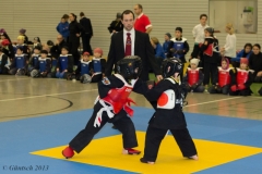 8. Landesmeisterschaft der Kinder 23.02.13