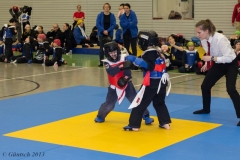 8. Landesmeisterschaft der Kinder 23.02.13