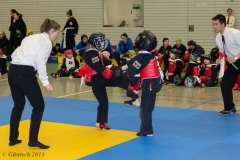 8. Landesmeisterschaft der Kinder 23.02.13