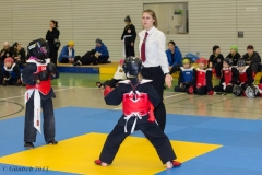 8. Landesmeisterschaft der Kinder 23.02.13