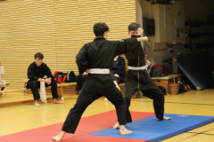 V-BC-IMG_0428