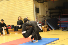 V-BC-IMG_0434