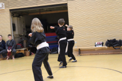 V-K-IMG_0404