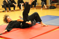V-MJ-IMG_0478