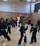 Werbellinsee2025_016