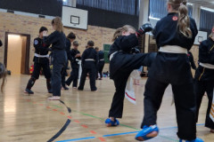 Werbellinsee2025_024