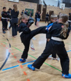 Werbellinsee2025_025