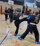 Werbellinsee2025_026