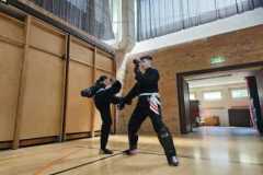 Werbellinsee2025_035