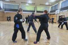 Werbellinsee2025_047